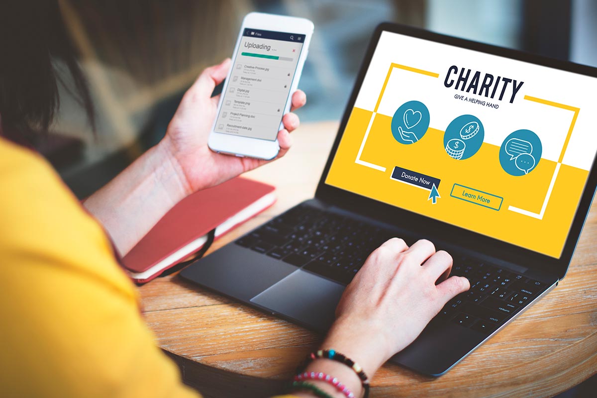 Our work with Donors and Investor